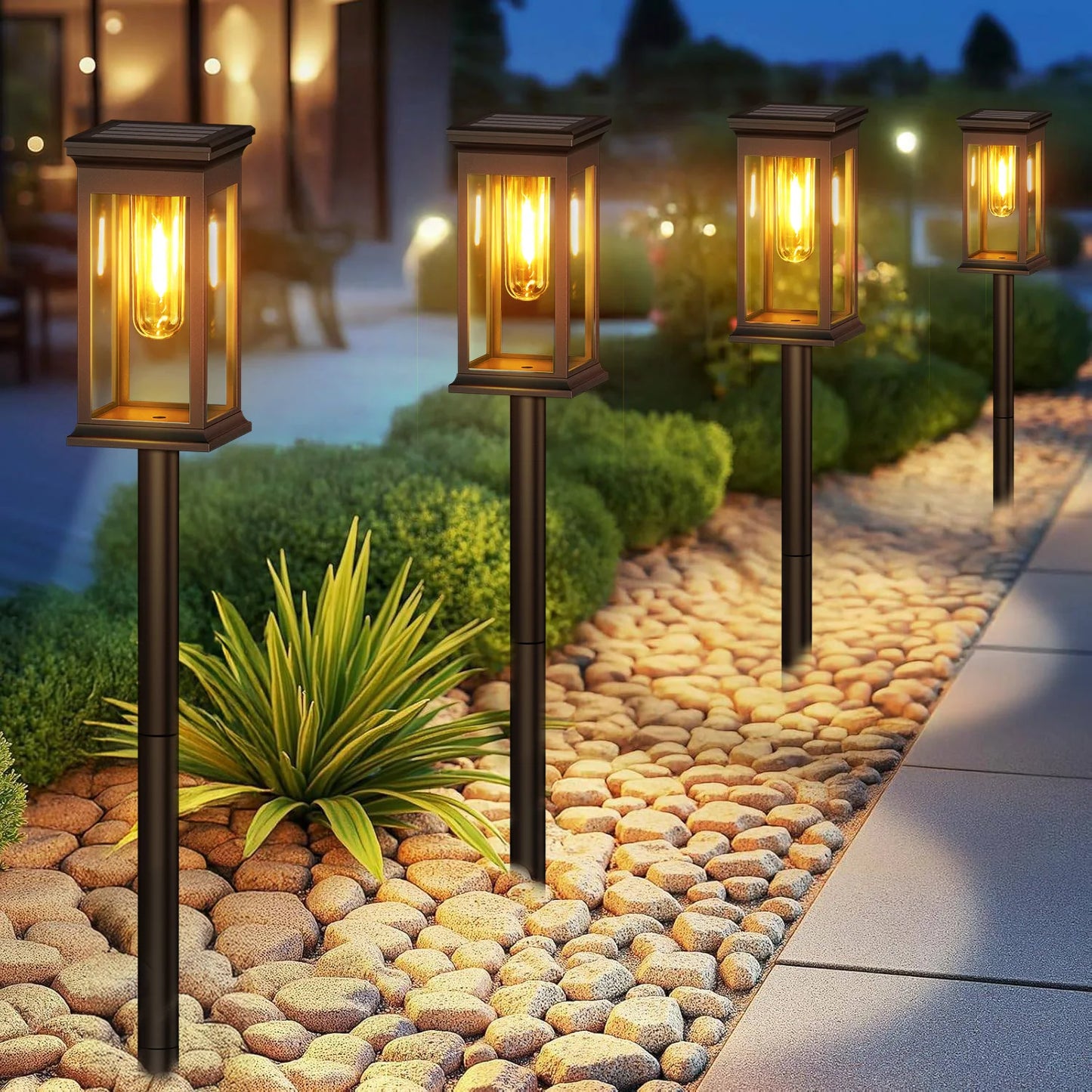 2 Pack and 6 Pack Solar Lights