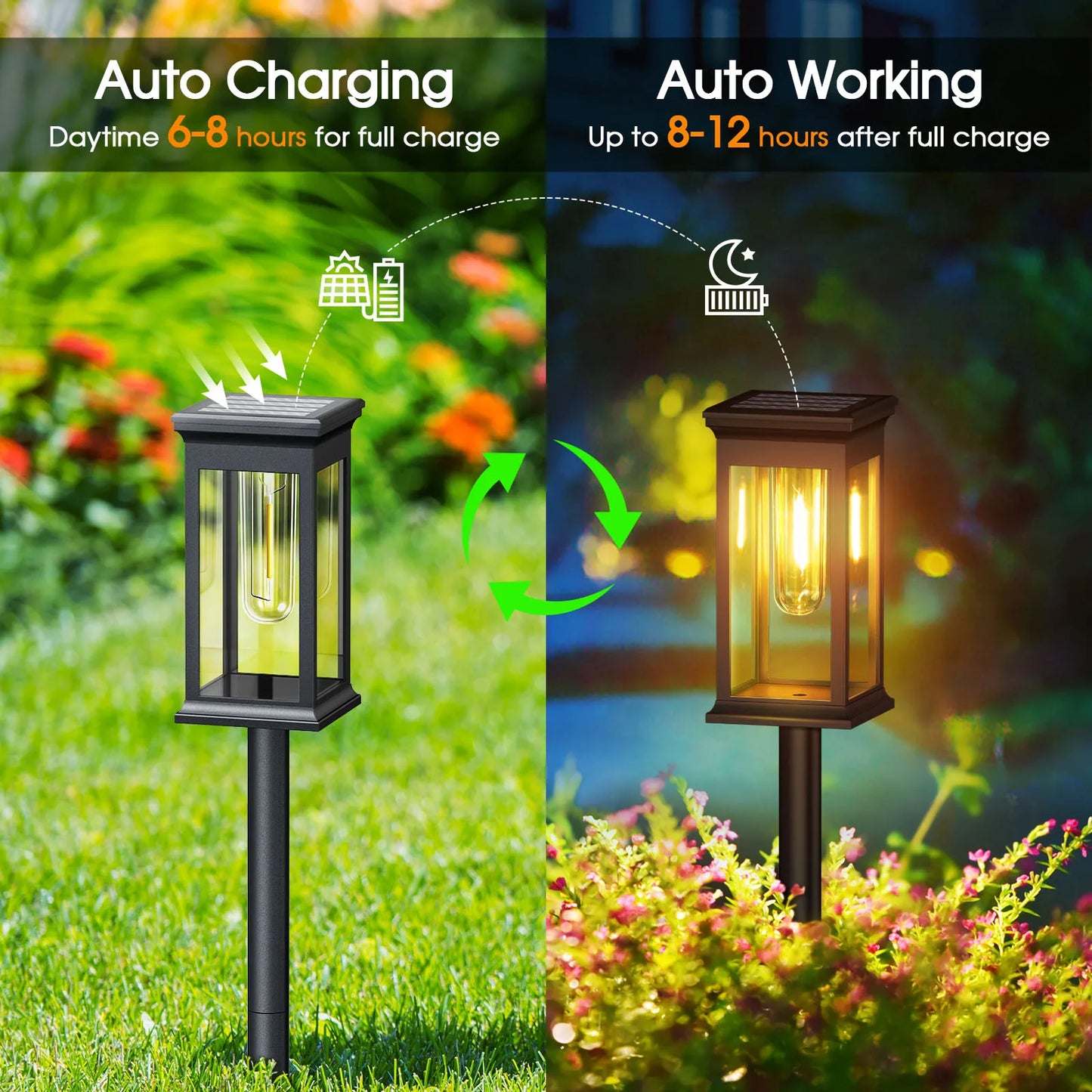 2 Pack and 6 Pack Solar Lights