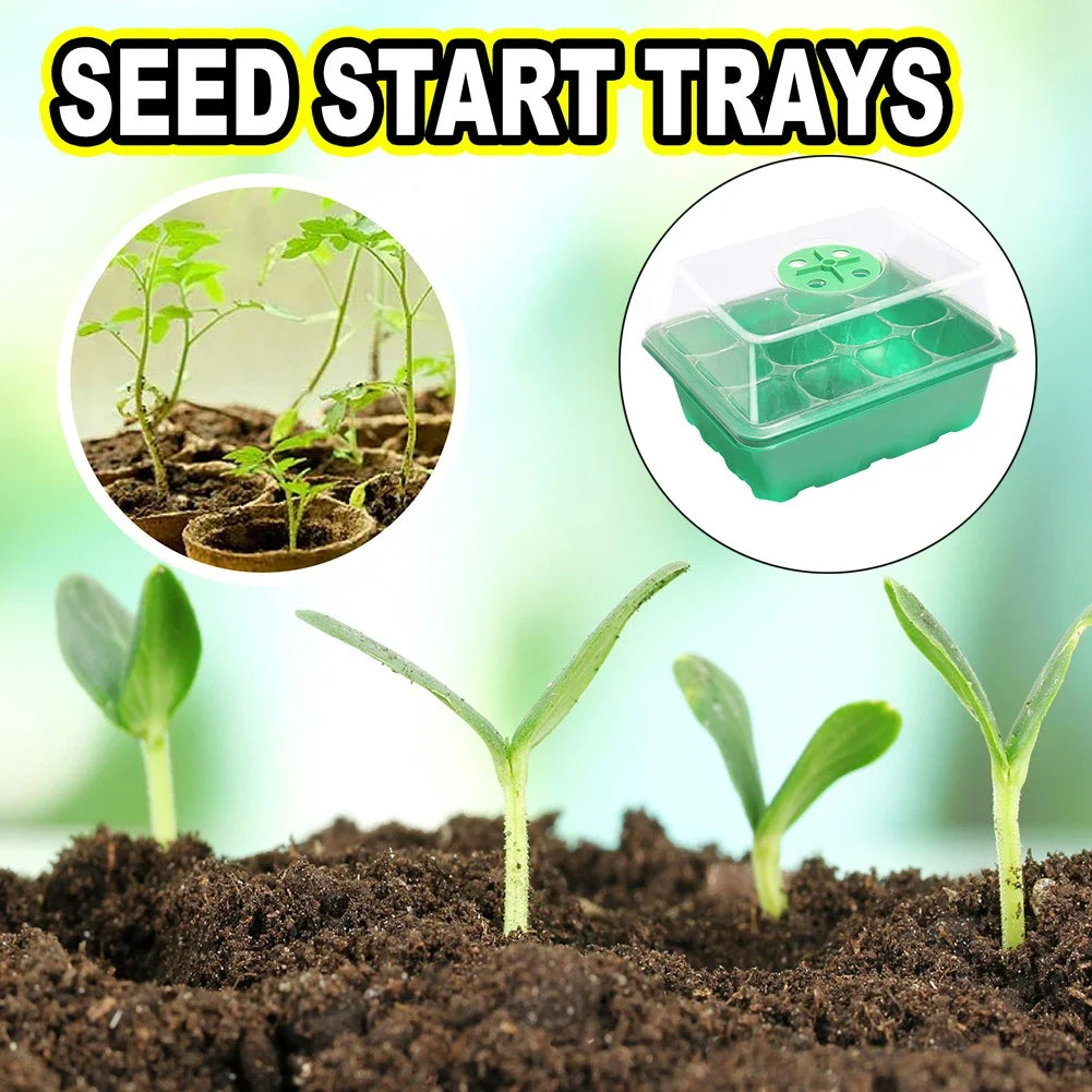 Seed Starter Tray with Ventilation Hole